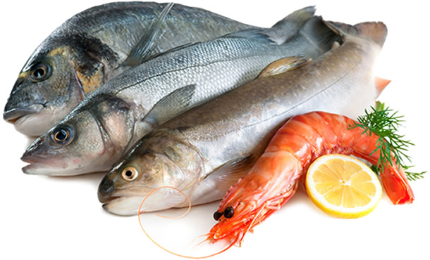 Il Pescato fresco sulla tua tavola - pescatofresco.it